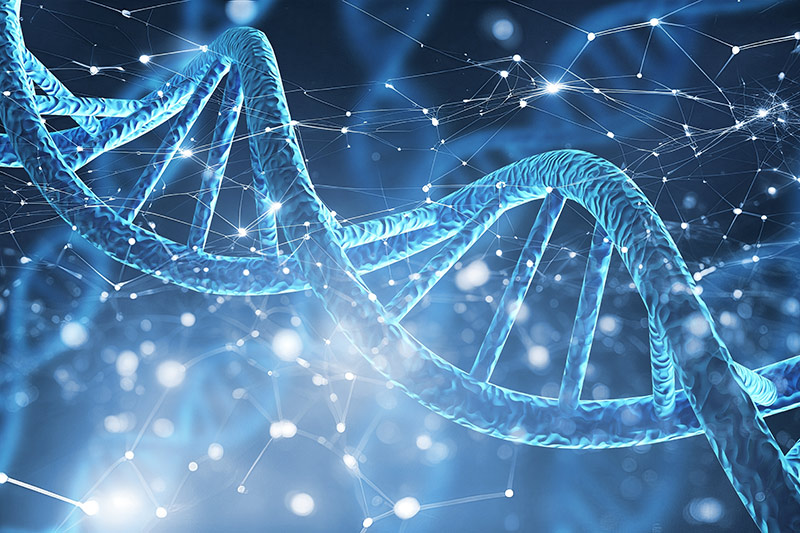 DNA double helix structure